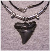 Ancient Megalodon Tooth Pendant
