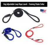 Nylon Slip Leash and Collar Set