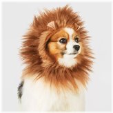 Lion Mane Pet Costume