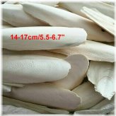 Natural Cuttlebone Calcium Supplement for Birds
