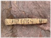 Wave Burl Cork Handle