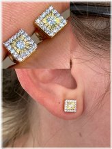 Golden Ice Stud Earrings