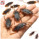 Creepy Crawly Prank Set - Realistic Rubber Cockroaches for Gags and Jokes