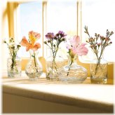 Petite Glass Bud Collection