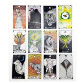 Wild Wisdom Oracle: A 63-Card Deck of Animal Spirits and Tarot Play