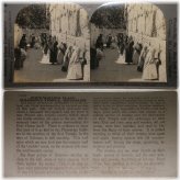 Wailing Wall Glimpses Collection