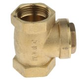 Golden Gate Swing Check Valve