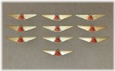 Junior Pilot Delta Airlines Pin Set
