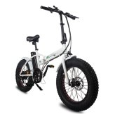 Folding Mountain City E-Bike