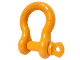 Clevis D Ring Shackle with Screw Pin for Heavy Lifting and Towing