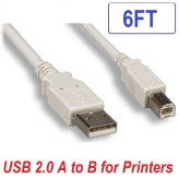 Beige USB Printer Cable - 6ft, Type A Male to B Male