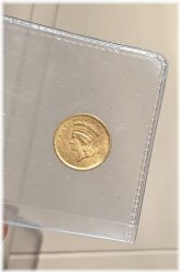 Golden Indian Princess Dollar