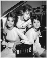 Soulful Melodies: The Ronettes 8x10 Glossy Photograph