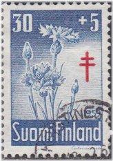 Centaurea Cyanus Flowers 1959 Stamp from Finland