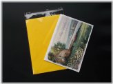 Clear Envelopes for A2+ Cards