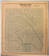 1877 Roe & Colby Aroostook County Woodland Map