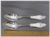 Victorian Bright Cut Engraved Teaspoons - Mono Nannie