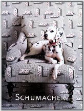 Dalmatian Domino Chair Vintage Print