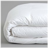 CozyCloud All Season Hypoallergenic Duvet Insert by Kaycie Gray