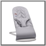 Blissful Bounce & Soothe Chair