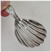 Georgian Shell Sterling Silver Tea Caddy Spoon