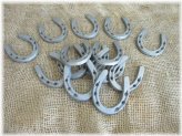 Horseshoe Decor Set