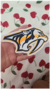 NHL Shoulder Patch on AHL Jersey