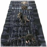 Compassionate Critter Catcher