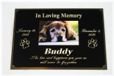 Forever Remembered: Custom Engraved Brass Plaque with Pet Portrait