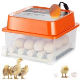 FeatherHatch 12-Egg Auto Egg Turner