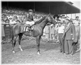 Legendary Racehorse Memorabilia Set