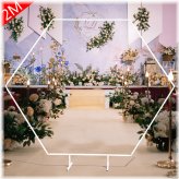Elegant Hexagon Wedding Arch Backdrop Stand