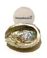 Sunset Abalone Shell Craft Piece