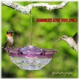 Plum Blossom Hummingbird Feeder