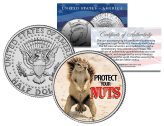 Nut-Protecting Half Dollar Card Guard