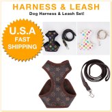 Purrfect Companion Harness and Leash Set