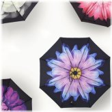 Flower Shield Umbrella