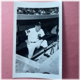 Al Lopez Chicago White Sox 1950's Photo