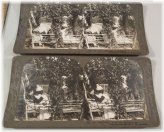 Summer Girl Series Stereoviews