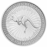 Kangaroo Silver Coin - 2022 Edition