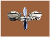 Aviation Cadet Pin with Double Post Clutch Back