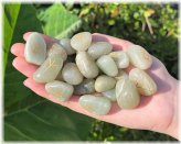 Forest Path Rune Stones with Velvet Storage Pouch