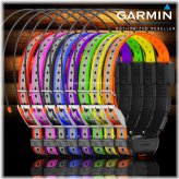 RoverTrack GPS Training Collar
