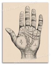 Mystic Hand Art Print - 18x24