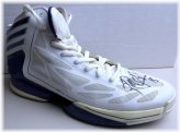 Phoenix Mercury Legend's Autographed Basketball Shoe with PSA Certification