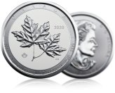 Twin Maple Leaf Silver Coin