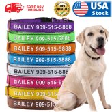 Patriot Pup Personalized Collar with Engraved ID Tag