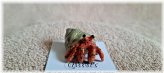 Hermit Miniature Figurine