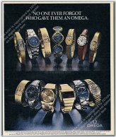 Timepiece Chronicles