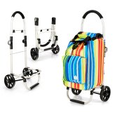 Roll & Carry Foldable Utility Basket with Bag